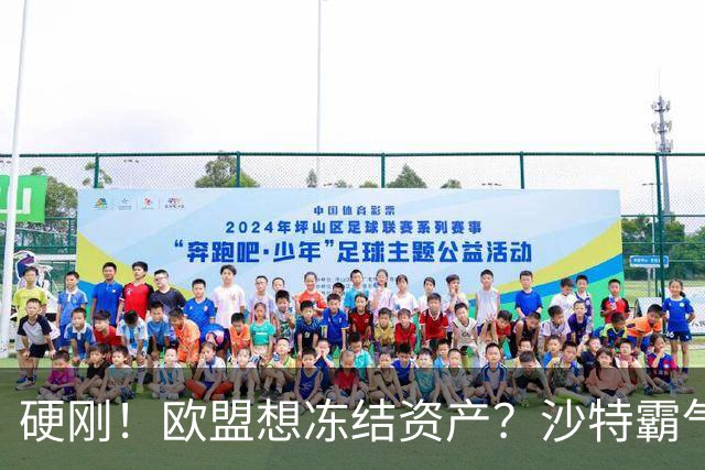 硬刚！欧盟想冻结资产？沙特霸气回击：